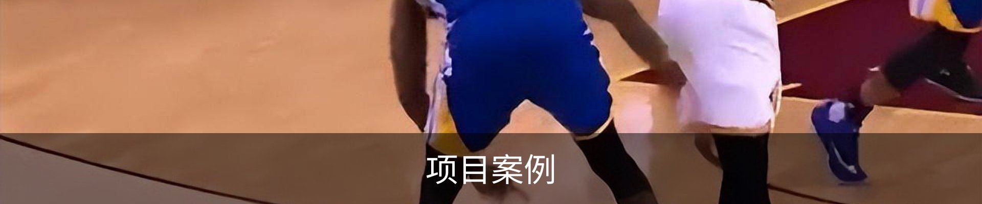 项目案例